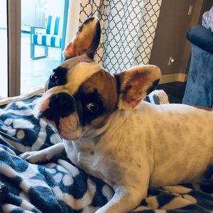 Meet your Posher, Monique